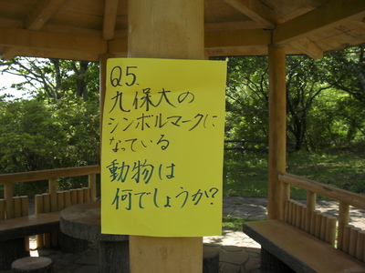 H23WR 022.JPG